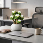 Artificial Succulent Plant in Ceramic Pot