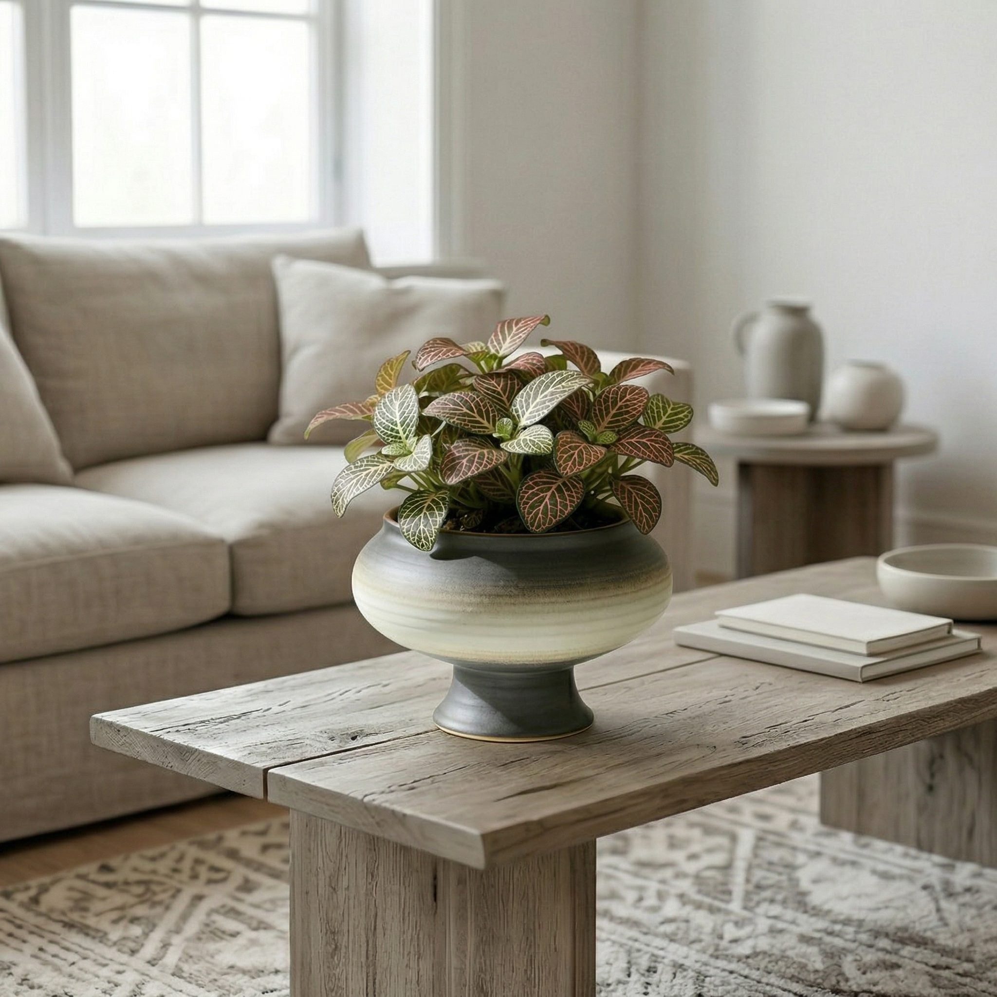 Artificial Fittonia Plant in Decorative Ceramic Pot