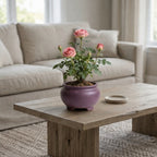 Artificial Pink Rose Plant in Ceramic Pot