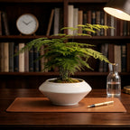 Artificial Asparagus Fern Plant in Decorative Ceramic Pot