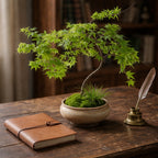 Artificial Japanese Maple Bonsai Tree in Decorative Ceramic Pot