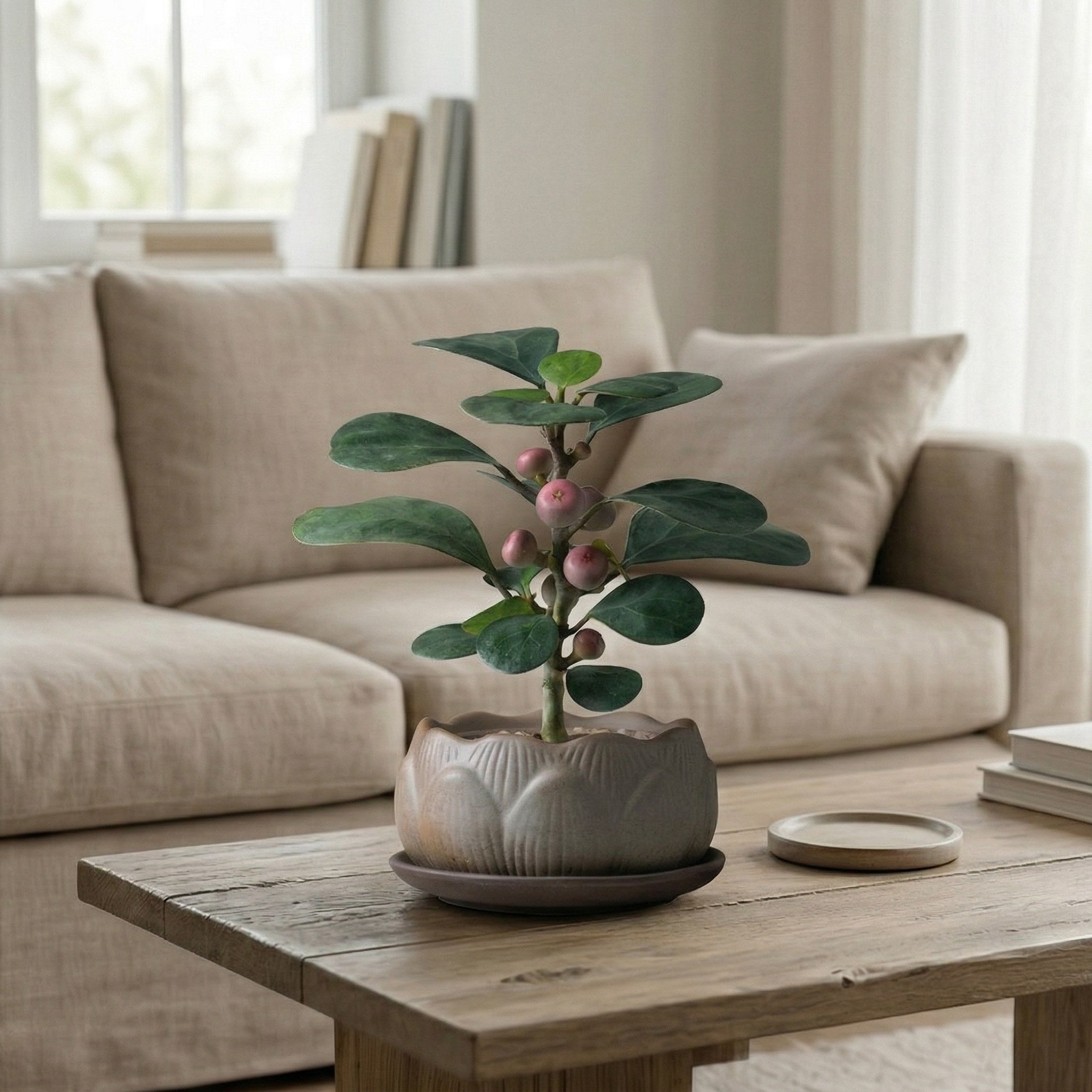 Artificial Ficus Plant with Decorative Pot