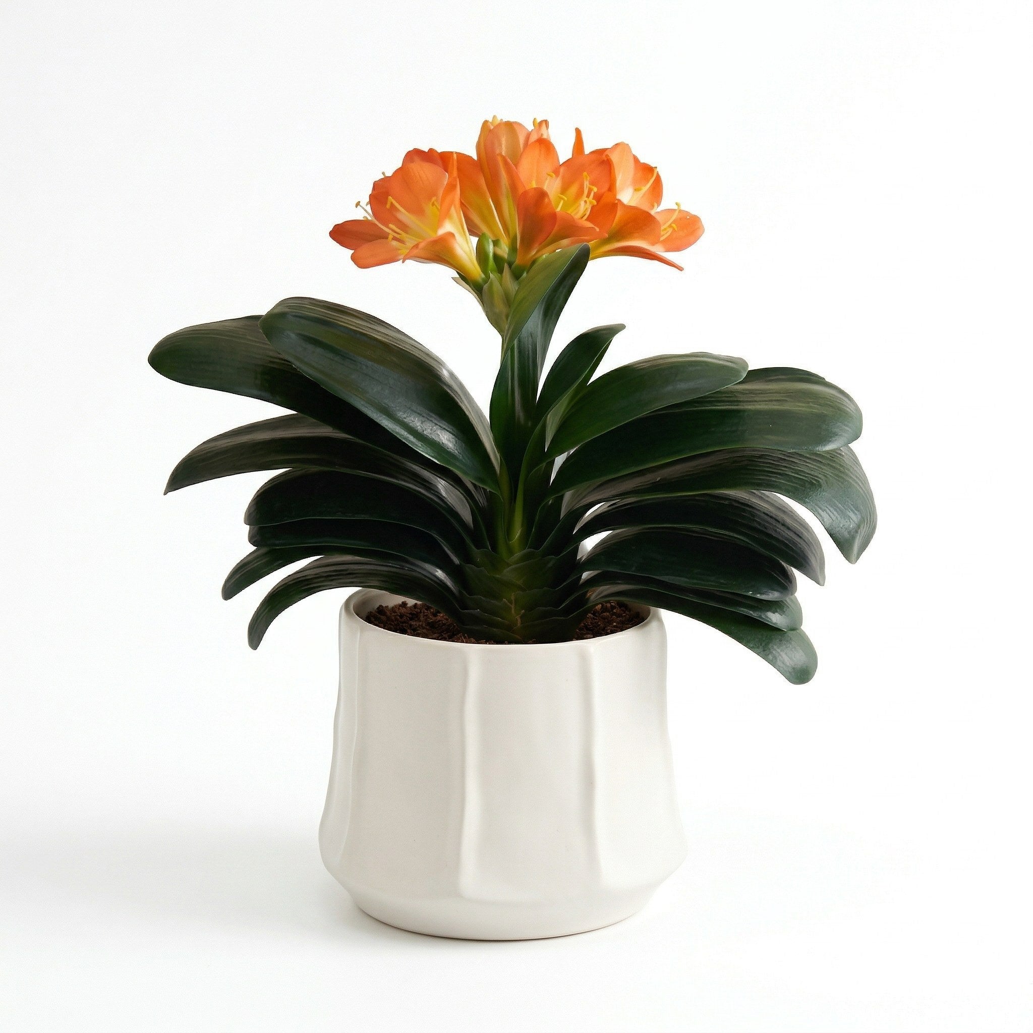 Artificial Orange Blossom Plant in Ceramic Pot