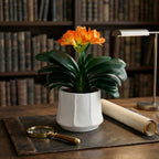 Artificial Orange Blossom Plant in Ceramic Pot