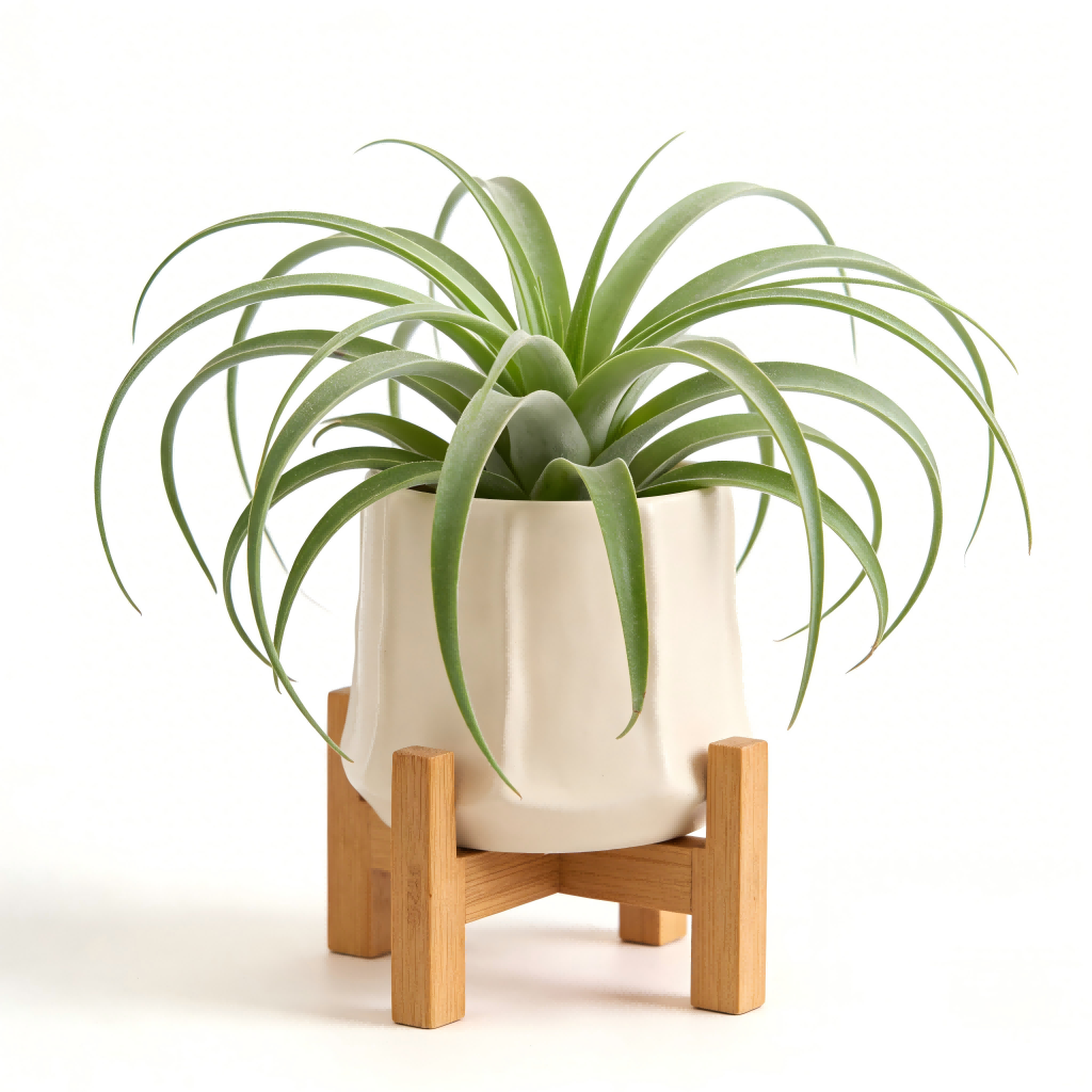 Artificial Air Plant in Ceramic Pot with Bamboo Stand