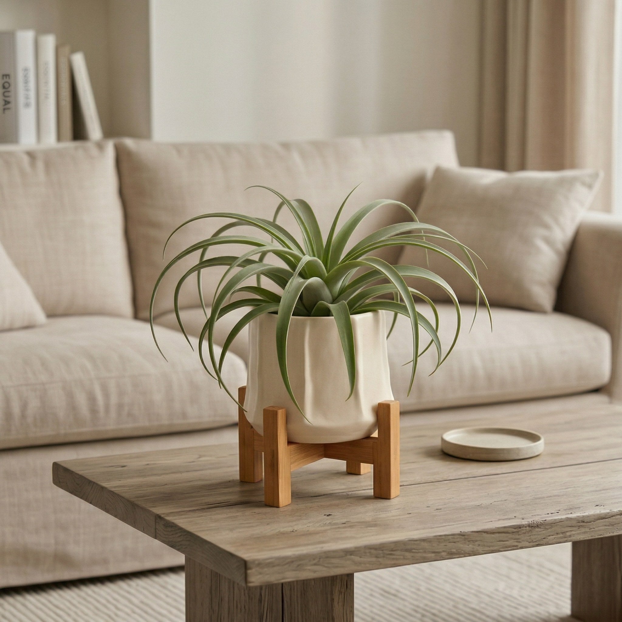 Artificial Air Plant in Ceramic Pot with Bamboo Stand