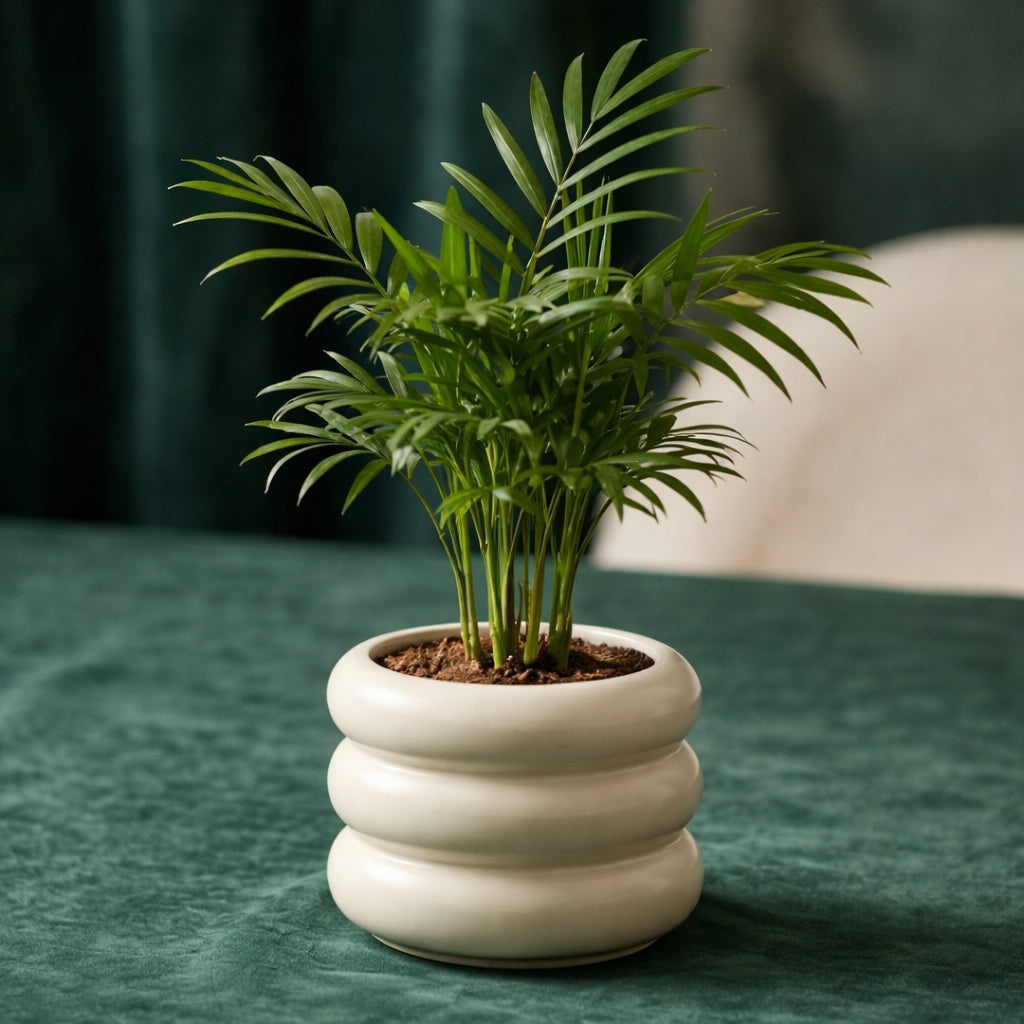 Artificial Palm Plant in Modern Ceramic Pot