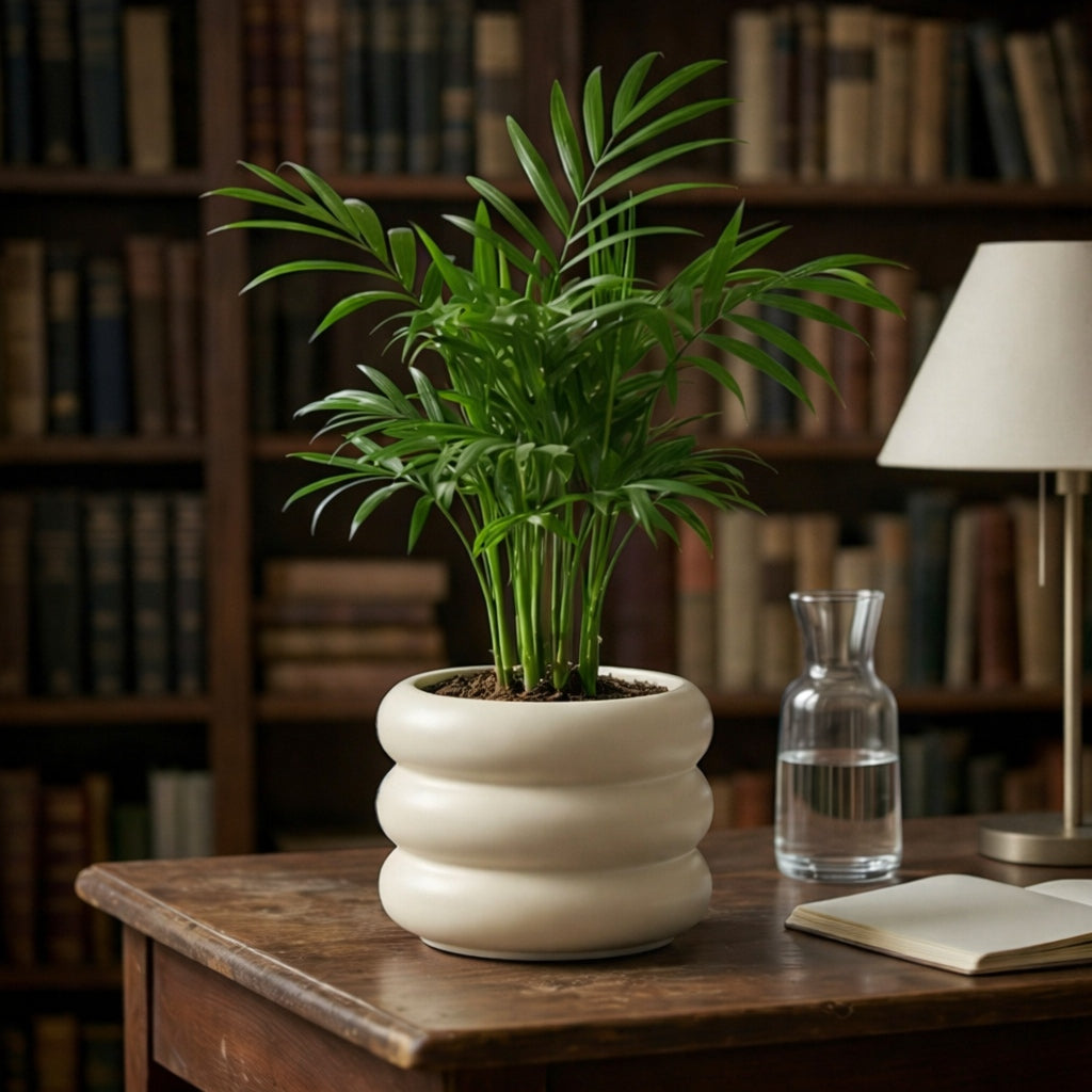 Artificial Palm Plant in Modern Ceramic Pot