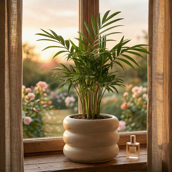 Artificial Palm Plant in Modern Ceramic Pot